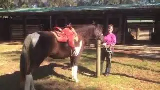 Best Horse Camping and Trails in Florida - Tillis Hills Florida