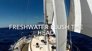 Freshwater flush the head