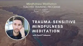 Trauma-Sensitive Mindfulness Meditation With David Treleaven