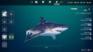 Maneater Funny Moments