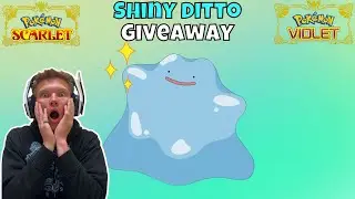 Shiny Ditto GIVEAWAY❗️