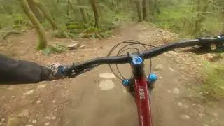 Erin Vision Empress Bypass Crash