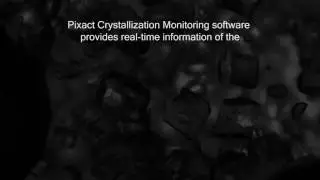 Pixact Crystallization Analysis Software