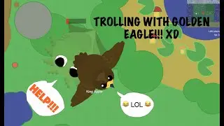 How to troll other users using golden eagle in mope.io!