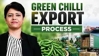 How to Start Export with Chili | Understand Practically | KDSushma