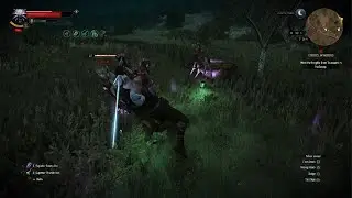 The Witcher 3 Cat school is so OP