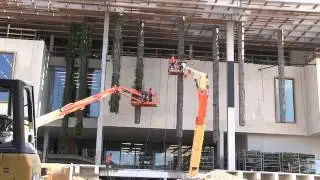 Vertical gardens begin to grow at P&eacute;rez Art Museum Miami