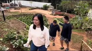 โครงการพัฒนาเกษตรที่สูงบ้านปางขอน จ.เชียงรายต้องชม