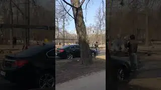 11 апреля  Питер/Погода/Кино в кино #экскурсия #nature #поход #tree #spring #travel
