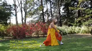 ☸️ TAOLU XIAO HONG QUAN + SHAOLIN ROU QUAN TAI CHI