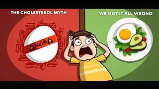 1D Animation | What If Everything You Were Told About Cholesterol Was Wrong?