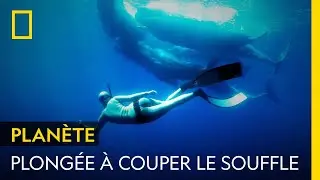 Plong&eacute;e en apn&eacute;e pour &eacute;couter les oc&eacute;ans