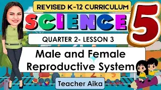 SCIENCE 5 Quarter 2 Lesson 3 | MALE and FEMALE Reproductive System | Revised K-12