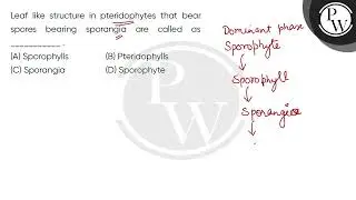 Leaf like structure in pteridophytes that bear spores bearing sporangia are called as __________....