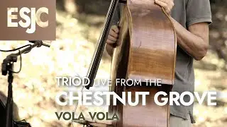 VOLA VOLA - Tri&ograve;d 