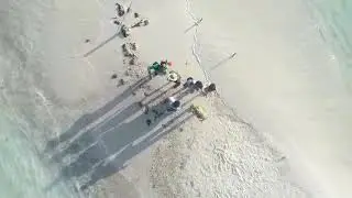 Pulau Dolphin