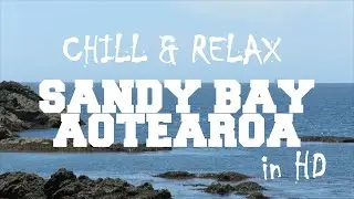 SANDY BAY SAIL BOATS NORTHLAND NEW ZEALAND SCREENSAVER : HD 60fps