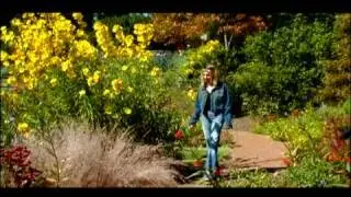 Sonia Lee - Wildflowers in the Grass