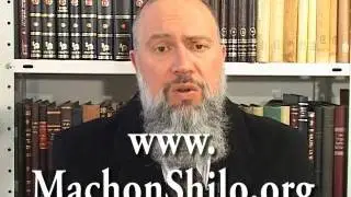 כיצד פוסקים הלכה?