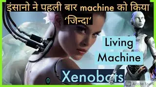 World's First 'Living Machine' Created Using Frog Cells and Artificial Intelligence| xenobots