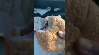 Whopper Burger #cravingssatisfied #shorts#trending