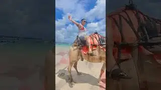 Things to do in Bali | Attraction Near Airport Kuta Seminyak Jimbaran Nusadua Canggu | Camel Ride
