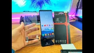 Dendrobates Screen Protector Note 8 Installation