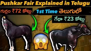 &ldquo;Pushkar Fair 2025 | ₹72 కోట్లు Burzkalifa గుర్రం & ₹23 కోట్లు Anmol గేదె | పూర్తి వివరాలు&rdquo;