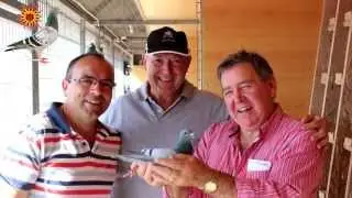 Ian Freeman from Australia visit the Derby Cordoba loft (2013)