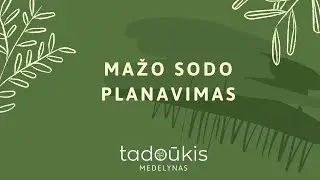 Planuojame mažą sodą. Kaip mažame sklype sutalpinti didelį sodą?