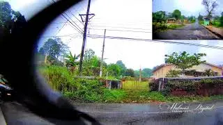 CEDAR GROVE, Manchester Road  and more | Walinton Mosquera