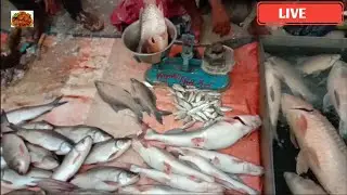 Amazing Giant Rita-Rohu-Fish Cutting Skills Live In Fish Market | Fish cutting Live