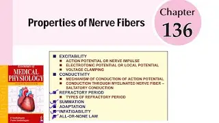 Properties of Nerve Fibers ||  #ch_135 || Neurophysiology || #sembulingam #physiologylectures