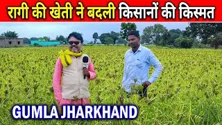 Ragi Ki Kheti Ne Badli Kismat 