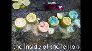 Dr. Pi presents: Lemon Volcano erupting STEAM fizzing experiment