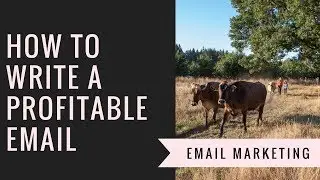 How to Write a Profitable Email