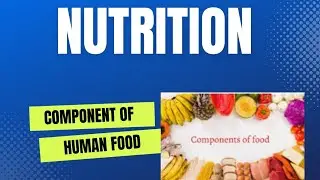 component of human food