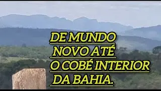 De mundo novo  até o coberto estado da Bahia 