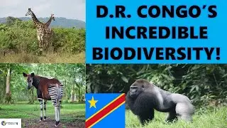 D.R. CONGO&rsquo;S INCREDIBLE BIODIVERSITY