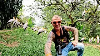 Wow, Worlds Largest Free Flight Bird Aviary and Butterfly Gardens, Kuala Lumpur Malaysia