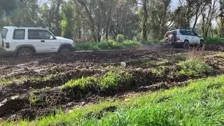 toyota prado and isuzu trooper - very close to crash