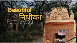 ✨ दिव्य निधिवन दर्शन: जहाँ आज भी रास रचाते हैं राधा-कृष्ण 🌸 | The Sacred Mystery of Nidhivan 🙏