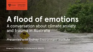 Sydney Ideas &ndash; A flood of emotions: climate anxiety and trauma in Australia
