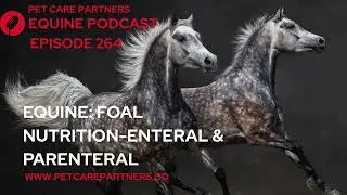 EP 264: Foal Nutrition Explained: Enteral & Parenteral Feeding in Equines | Pet Care Partners