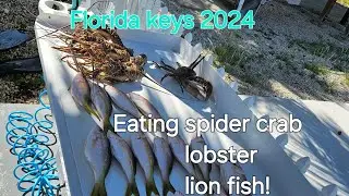 FL Keys Trip 2024 (catch and cook spider crab)
