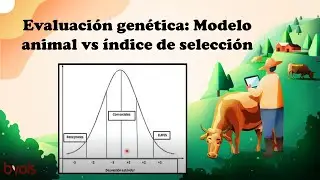 Evaluaci&oacute;n gen&eacute;tica: Modelo animal vs &iacute;ndice de selecci&oacute;n.
