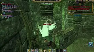 Sota Elemental resist blessing