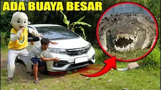 EMERGENCY!! THERE'S A LARGE CROCODILE NEST UNDER UPLIN'S CAR?!