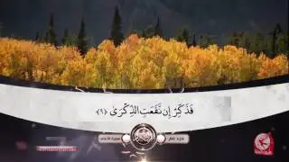 سورة الأعلى - جزء عم | طيور الجنة