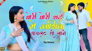 धोरी धोरी शर्ट में म्हारा आशिक पायलट सो लागे | Dhori Dhori Shirt Me Mhara Aashik Pilot So Lage | Dg